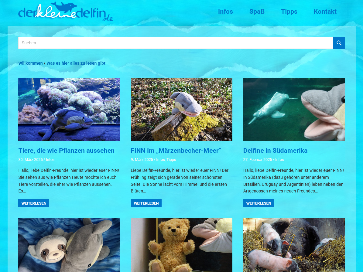 Man sieht die Website.