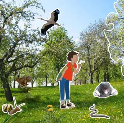 Ein illustriertes Kind steht auf einer Wiese. Um das Kind herum sind verschiedene Tiere abgebildet.