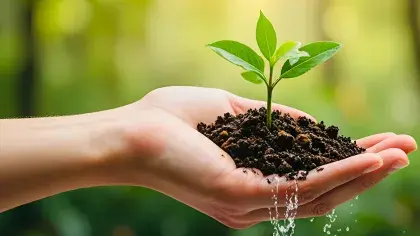 Hand hält Erde und Pflanze