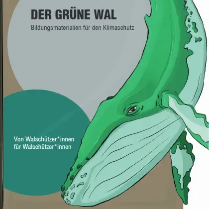 Ein Grüner Wal schwimmt nach unten
