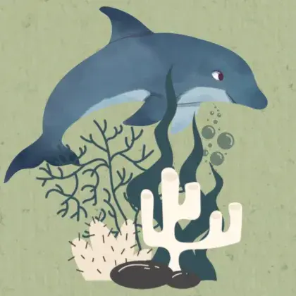 Illustration eines Delfins über einem Korallenriff