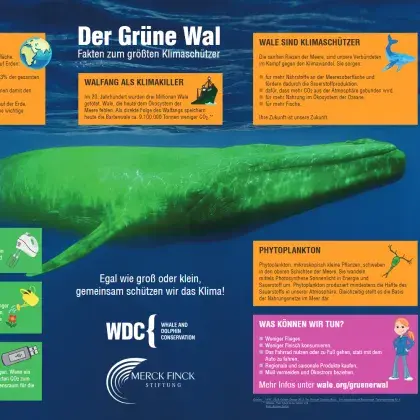 Ein grüner Wal schwimmt im Meer. Um ihn herum sind Textkästchen.