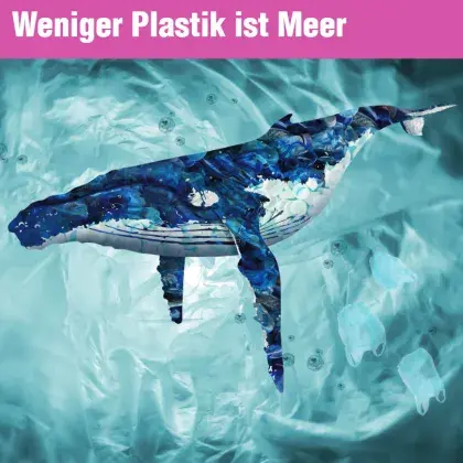 Bild eines Buckelwals im Wasser