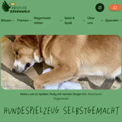 Man sieht einen Hund.