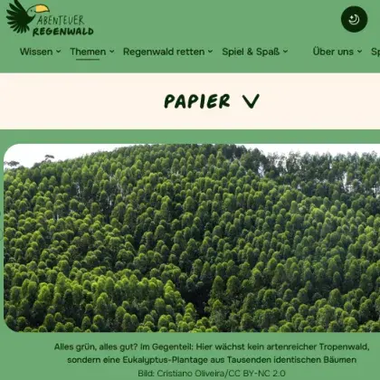 Man sieht viele Bäume.