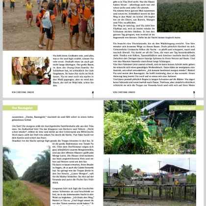 Man sieht einen Ausschnitt aus der Bild-Geschichte mit Bildern und Text.