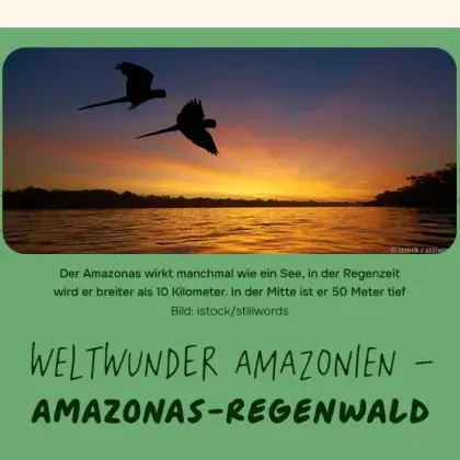 Man sieht eine Übersicht der Seite und ein Bild mit einem Sonnenuntergang.