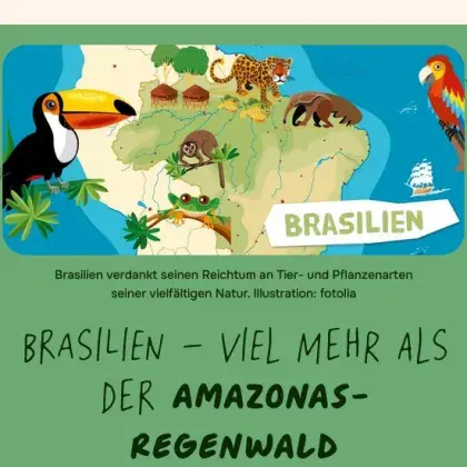 Man sieht ein gezeichnetes Bild mit einer Karte von Brasilien und Tiere, die dort leben.