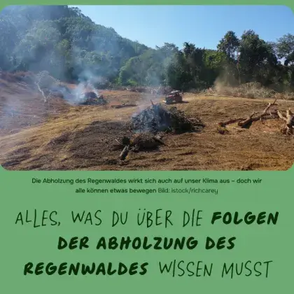 Man sieht ein Bild mit verbranntem Holz.