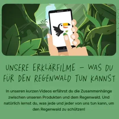 Man sieht ein Handy mit dem Erklärfilm zum Regenwald.