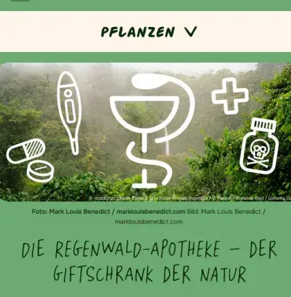 Man sieht eine Übersicht der Seite zu Heilpflanzen.