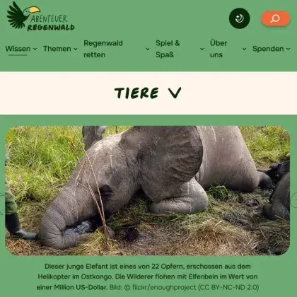 Man sieht eine Foto von einem Elefanten.