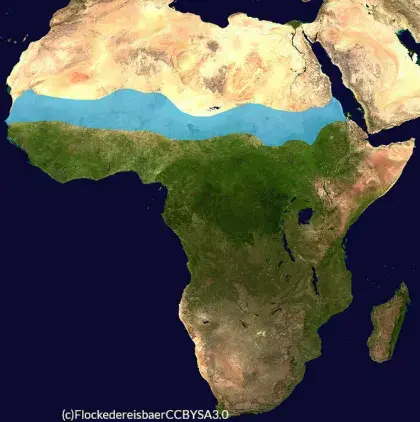 Satellitenbild von Afrika