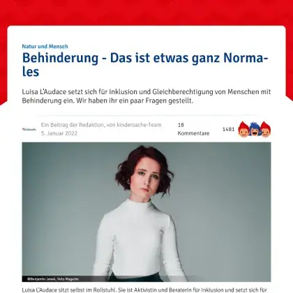 Screenshot Artikel