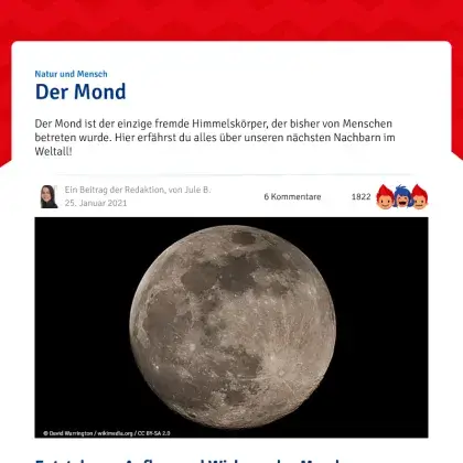 Screenshot Artikel