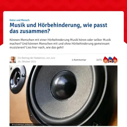 Screenshot Artikel