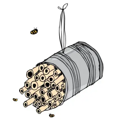 Illustration Büchse