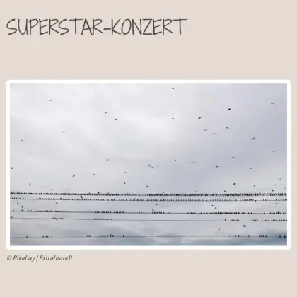 Superstar-Konzert