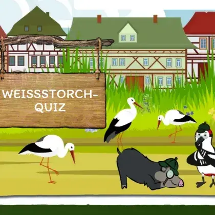 Man sieht ein Übersicht der Seit und gezeichnete Storche, eine Elster und ein Schwein.