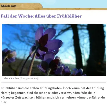 Man sieht einen Detektivfall der Woche über Frühblüher.