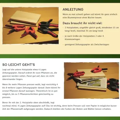 Man sieht Fotos von einer gebastelten Blumenpresse.