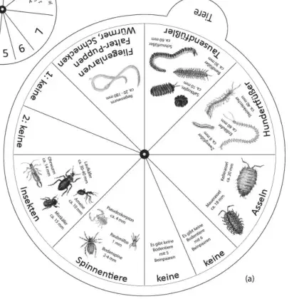 Man sieht eine Bastel-Vorlage einer Bodentier-Uhr.