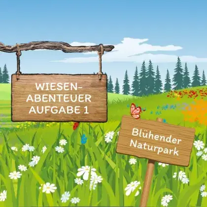 Man sieht eine Übersicht der Seite und eine gezeichnete Blumen-Wiese.