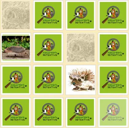 Man sieht Karten von einem Memory-Spiel.