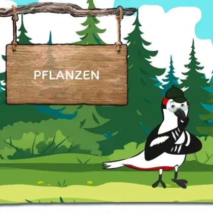 Man sieht eine Übersicht der Seite und eine gezeichnete Elster.