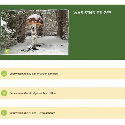 Man sieht ein Quiz und ein Bild von einem Pilz.