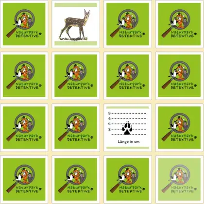 Man sieht ein Memory-Spiel.