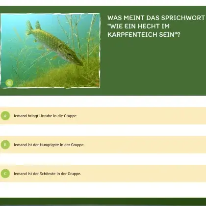 Man sieht ein Quiz und ein Bild von einem Fisch.