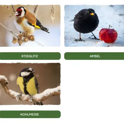 Man sieht verschiedene Vögel.