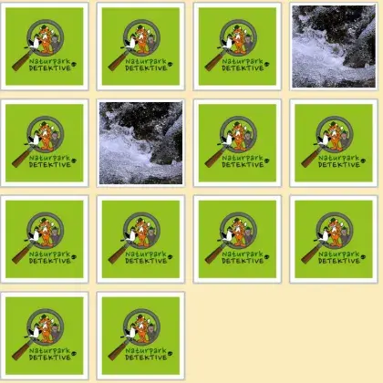 Man sieht Karten von einem Memory-Spiel.