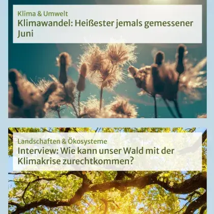 Man sieht eine Übersicht der Seite und Fotos von Pflanzen im Sommer.