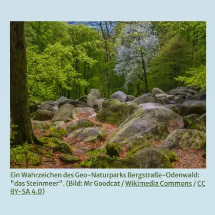 Man sieht Steine in einer Naturlandschaft.