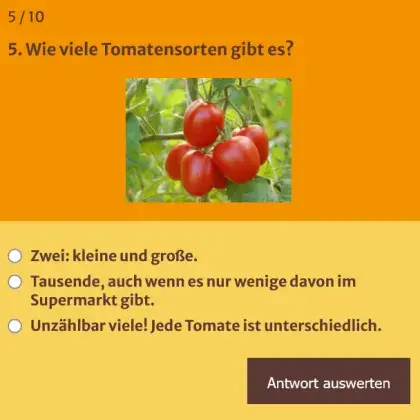 Man sieht eine Quiz-Frage und ein Bild einer Tomate.