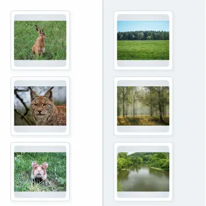 Man sieht Bilder von Tieren und Naturplätzen.