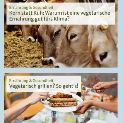 Man sieht eine Übersicht der Seite.