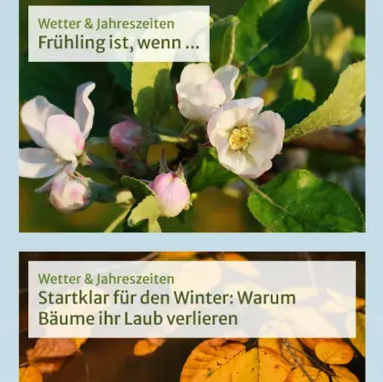Man sieht Übersichten zum Herbst und zum Frühling.