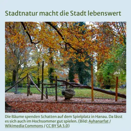 Man sieht ein Bild von einem Spielplatz.
