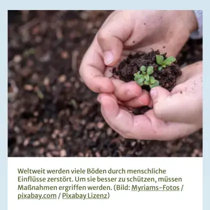 Man sieht Hände mit Erde.