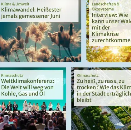 Man sieht eine Übersicht der Seite.