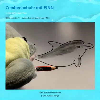 Ein Plüschdelfin zeichnet