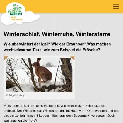 Man sieht eine Übersicht der Seite.