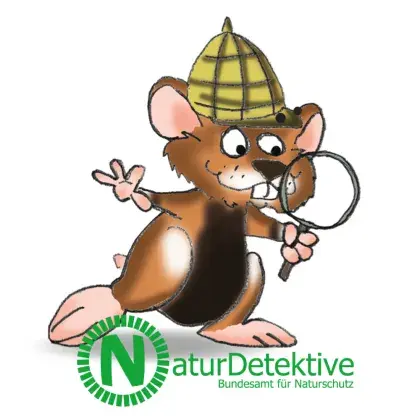 Basisbild Naturdetektive