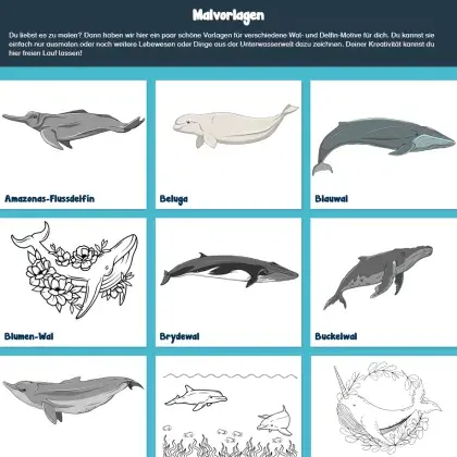 Man sieht verschiedene Malvorlagen.