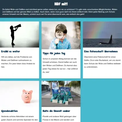 Man sieht eine Übersicht zu verschiedenen Artikeln.