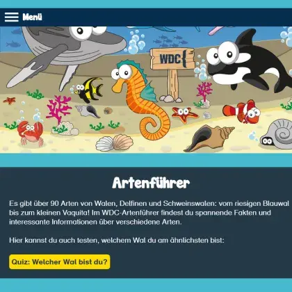 Man sieht eine Übersicht zu verschiedenen Wal- und Delfin-Arten.