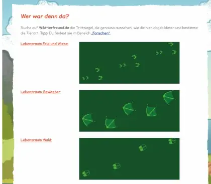 PDF zum Download